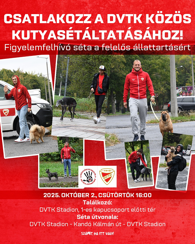 Állatok világnapja: a DVTK közös kutyasétáltatásra hív minket