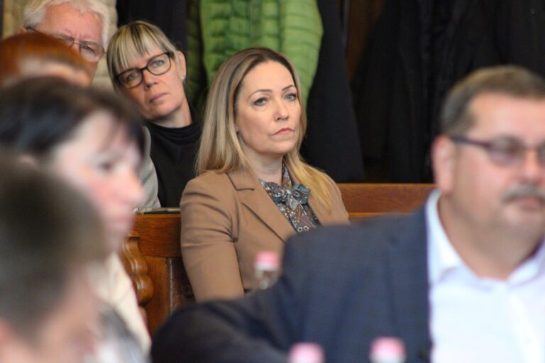 A hattyú halála a kecskeméti közgyűlésen – két felvonásban