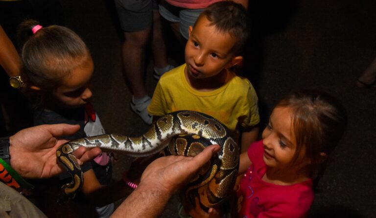 „Bor-zoo-ngató” kígyósimogató lesz a Vadaskertben halloween jegyében