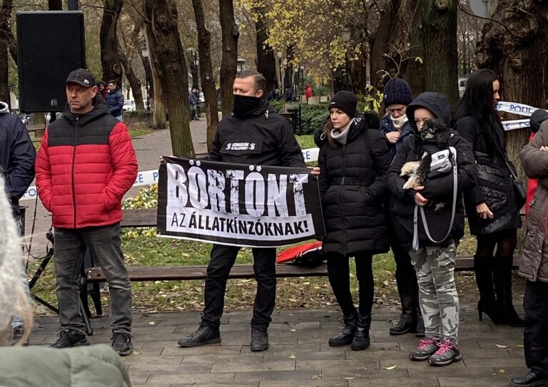 Több tucatnyian álltak ki a megkínzott állatokért Kecskeméten (galéria)