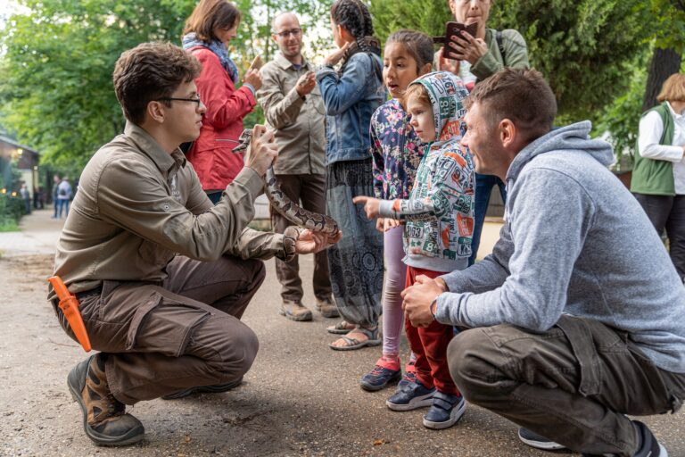 Leukémiában szenvedő kecskeméti fiú számára szerveznek jótékonysági napot a Vadaskertben
