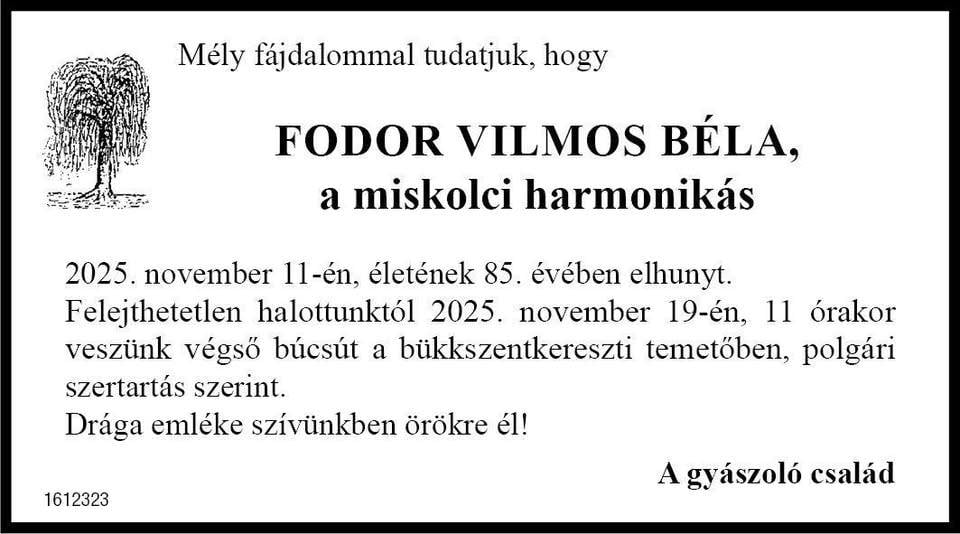 Gyász: Meghalt Miskolc népszerű utcai harmonikása