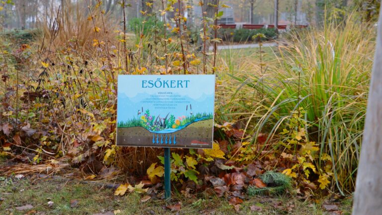 Amennyi vizet csak lehet, azt mind itt kellene tartani – ebben az EU is sokat tud segíteni