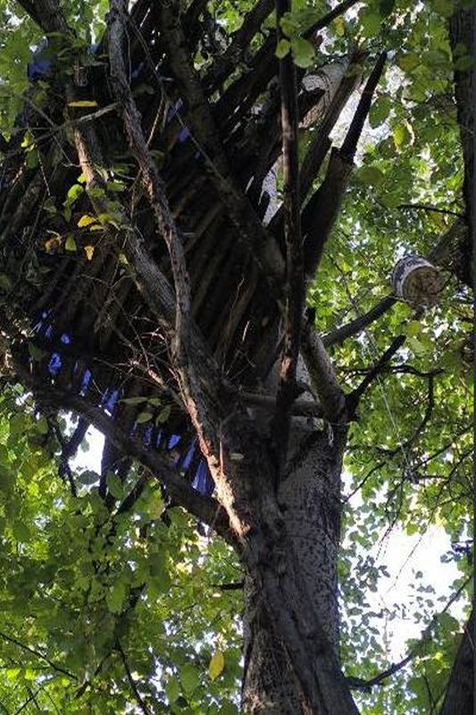 Fákon tákolt magának menedéket egy férfi a Tisza szigeten