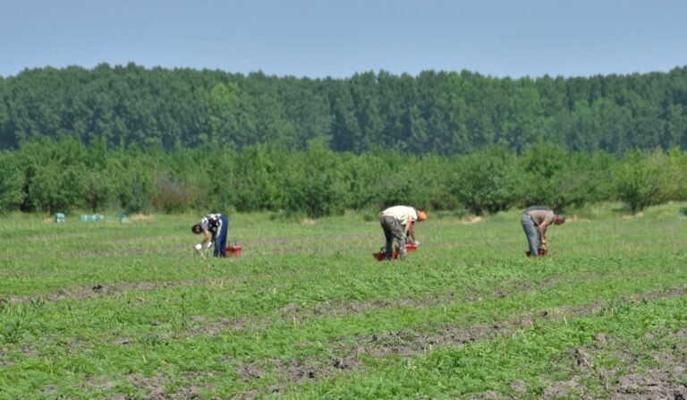 Három év alatt annyi ember tűnt el a magyar munkaerőpiacról, ahányan Győrben laknak