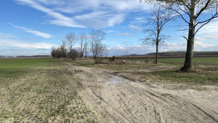 A Fidesz saját elveivel szembemenve nyitotta meg a termőföldpiacot a pénzügyi befektetők előtt
