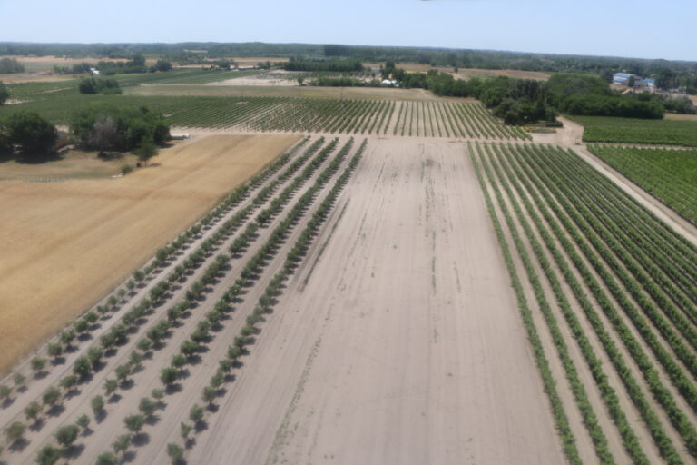 Kiszáradó Homokhátság – Lázár János: a kormány hibát követett el, nem épített víztározókat tíz évvel ezelőtt