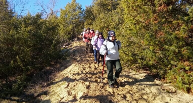 Újra rekord: több mint száz településről 836-an teljesítették a Téli Strázsa Túrát
