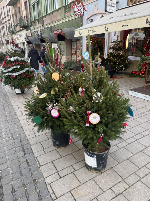 Ismét közösen díszíthetett Miskolc a Belvárosi Körrel