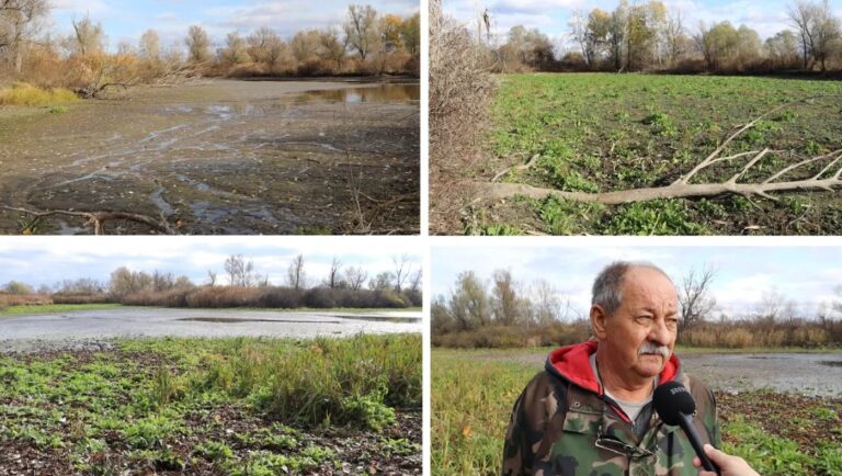 Kiszáradtak a lakiteleki tőzegbánya-tavak – fenyegető vízválság a Homokhátságon (videóval)