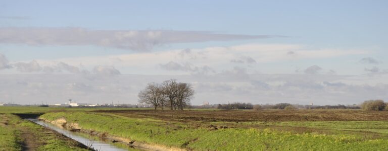 Szakértők a földtörvény módosításáról: „Nem véletlenül nem verte ezt nagydobra a Fidesz”