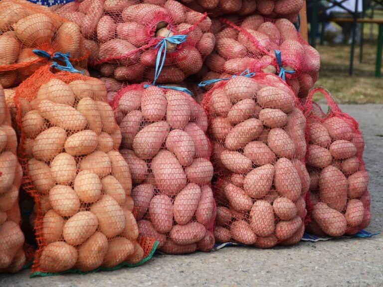 Hazai burgonya helyett sokszor a selejtes import kerül a boltok polcaira