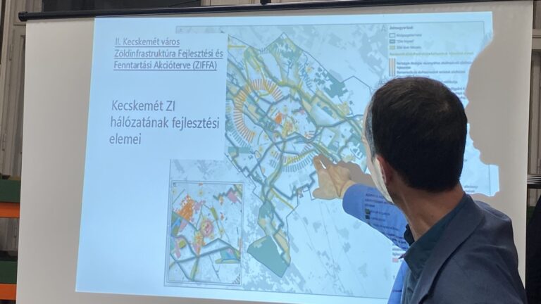 A stratégia már kész a zöld Kecskeméthez – már csak politikai döntés és forrás kell