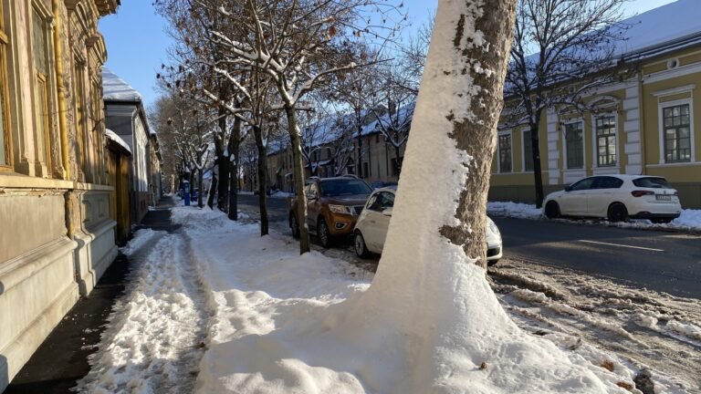 Zöldítő Civil Társaság: A hó a fák takarója – az eredmény tavasszal jól látható lesz