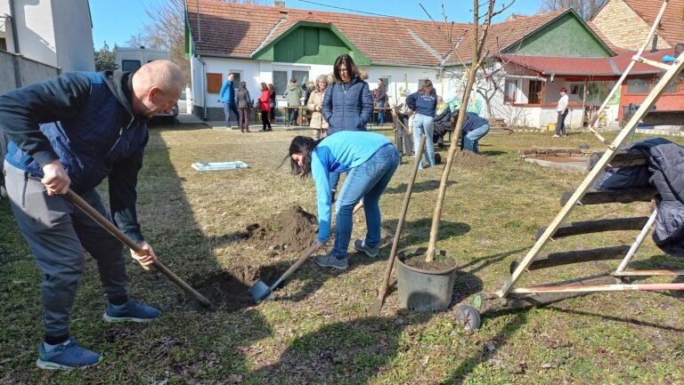 Közeleg a civilek, magánszemélyek és cégek nagy faültetése, március 1-jén Kecskeméten nyolc helyszínen lesz zöldítés