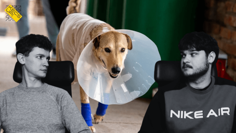 KecsUPéntek – Elzárást kapott Rozi kutya megkínzója, de mégis mire elég ez?