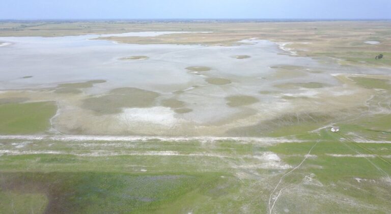 Európa egyik legkülönlegesebb élőhelye kerülhet veszélybe Fülöpházánál