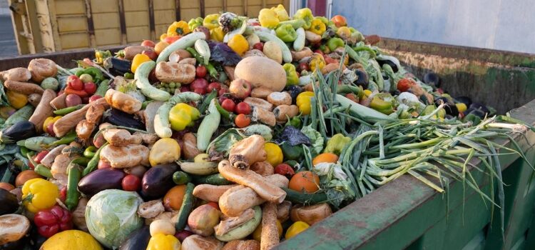 Elpocsékolt élelmiszer: a magyarok úgy luxiznak az étellel, hogy azon még a hivatal is ledöbbent