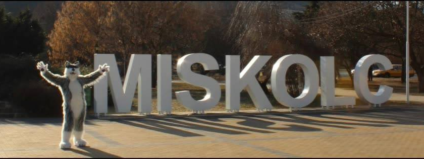 Miskolc kedvence lett a különleges biciklis – találkoztunk vele?