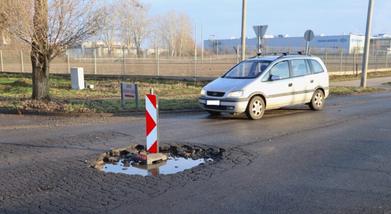 Mutatós példányokkal újra megnyitott a kecskeméti kátyúkiállítás (galériával)