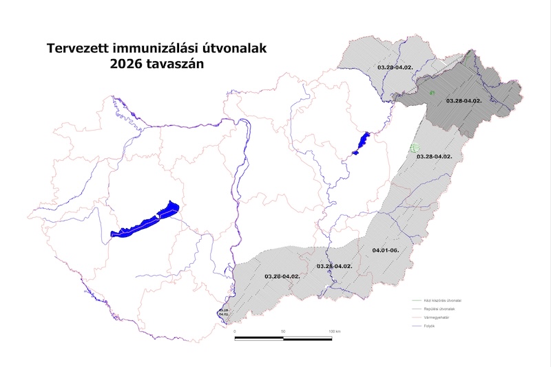 Tavaszi rókavakcinázás indul a hónap végén Borsodban (is)