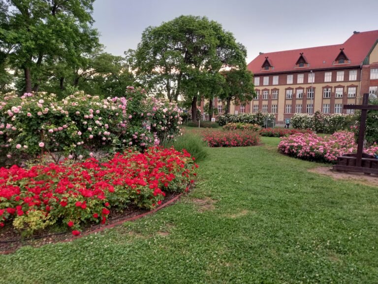 Rovarhotel, gyíkvár és sünlak is lehet majd a Rózsakertben