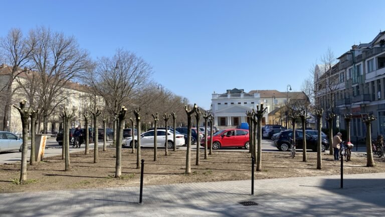 Miért vágták ennyire vissza a Rodostó tér fáit? És összefügg-e az egész a fideszes gyűléssel?