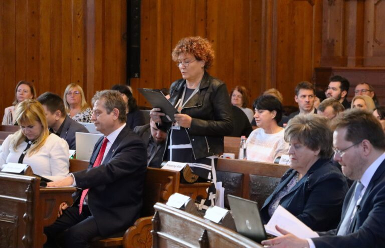 A DK-s Kopping Rita visszalépett a jelöltségtől, és minden ellenzéki jelöltnek azt tanácsolja, mérlegeljen