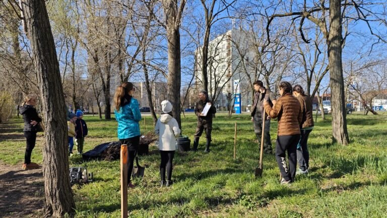 Őshonos facsemetéket ültettek a télen favágással érintett Szép utcai véderdőben