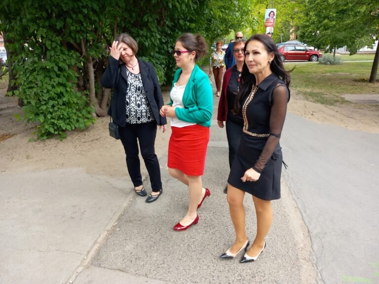 Elengedték Laczkó-Zsámboki Angéla pénzbüntetését, de az NVB szerint is kifogásolható módon zavarta Molnár János kampánytevékenységét