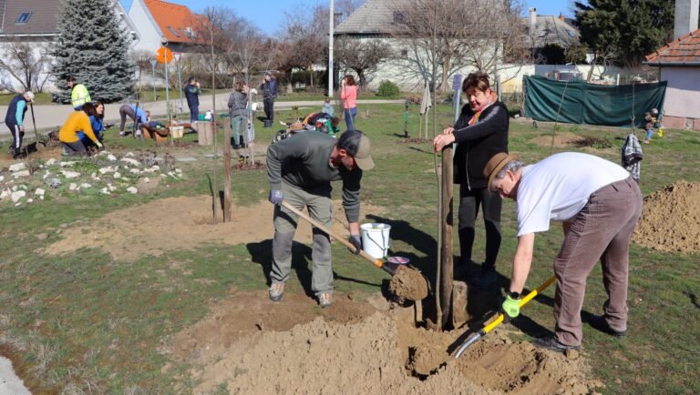 A zöldítés-faültetés kétségkívül közösséget teremt, ez újra bebizonyosodott Kecskeméten is