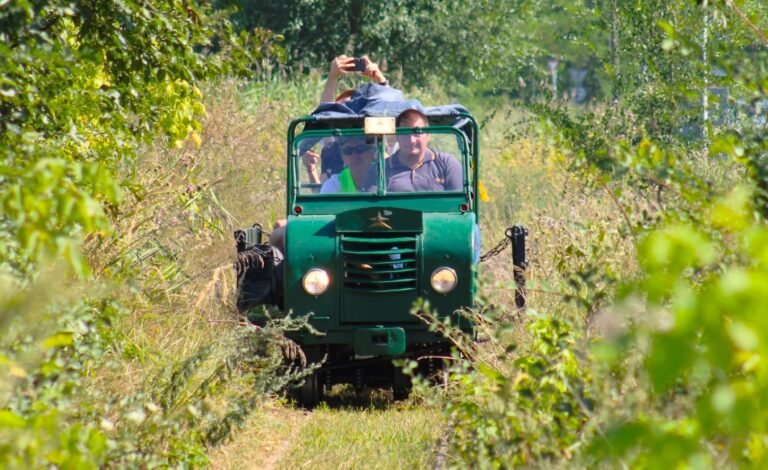 Áprilisban indul az idei hajtányos szezon a Kecskeméti Kisvasúton, és a tervek szerint hamarosan mozdonyos szerelvény is újra a síneken gördülhet
