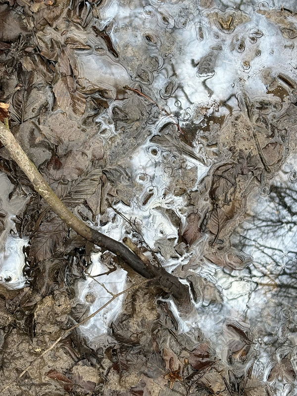 “A méreg soha nem érhet véget” – a Fidesz legújabb mérgezési botránya pattant ki