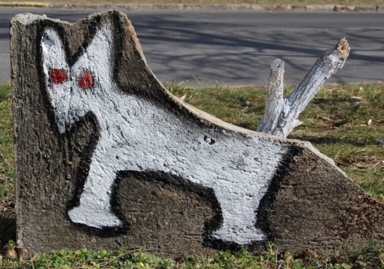 A területi választási bizottság elutasította a kecskeméti Kutyapárt jelöltje elleni fellebbezést