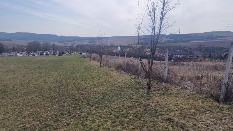 Farkastámadás Borsodban – menekülő szarvasok törték ki a temető kerítését
