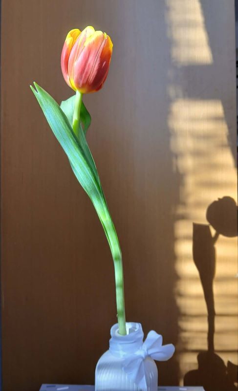 Kedves politikusok! – Gondolatok a nőnapi virágosztás margójára