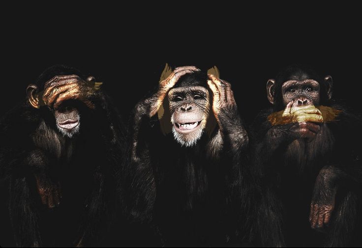 Bár vasárnap választott az ország, ez nem minden kecskeméti hírportált zavar (vélemény)