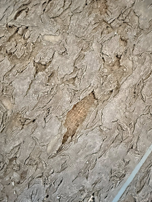 Csiba Gábor ledöbbent a miskolci kórház siralmas állapotán