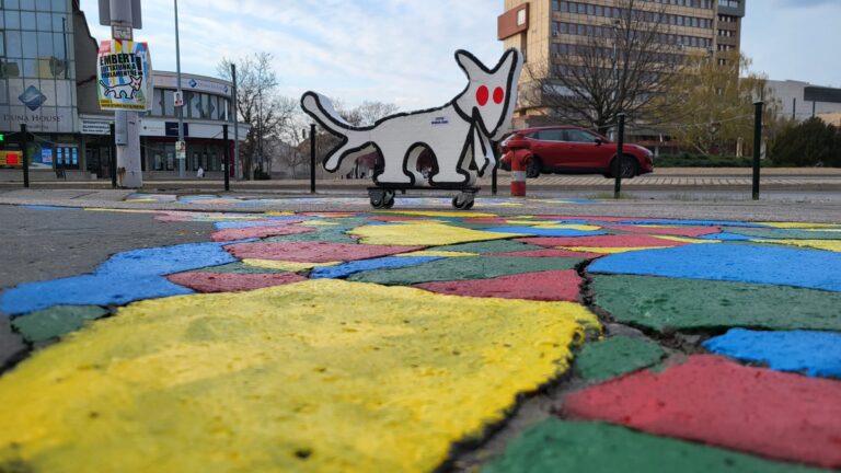 Kecskeméti jelöltek a Kutyapártról szóló filmről: mi a fekete helyett a 4 szín kampányt szeretjük, az jobb