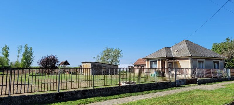 Fejlesztő otthon “nekifutásból” – Krisztiánért és beteg gyermekekért kocognak a tiszaújvárosiak