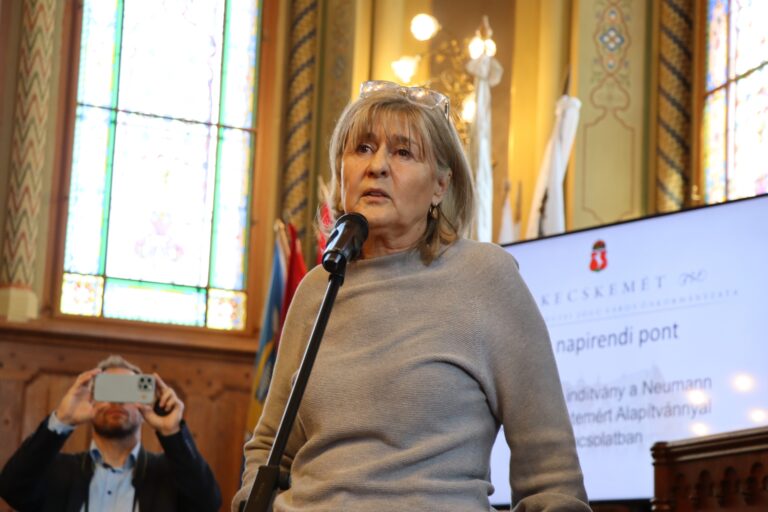 A Fidesz-KDNP is Matolcsy Györgyöt hibáztatta a közgyűlésen az NJEA-ügyért, a polgármester is beállt a sorba