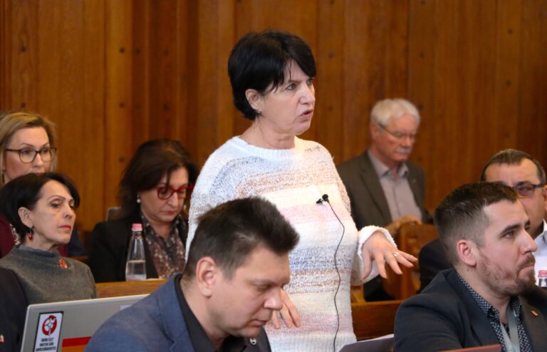 A kecskeméti, és főleg a hetényi internet-infrastruktúra fejlesztését indítványozza Hódi Zsuzsanna