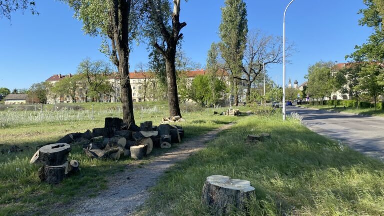 Zöldítés és társadalmi kiszorulás: a fenntartható városok árnyoldalára figyelmeztetnek a kutatók