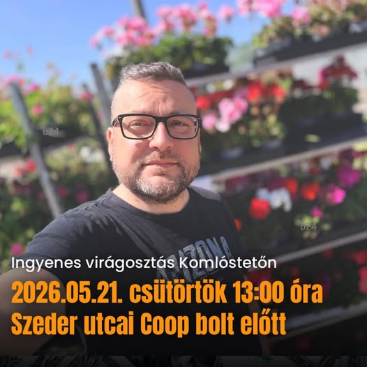 Bajusz Gábor vezetésével virágot osztogatnak Miskolcon