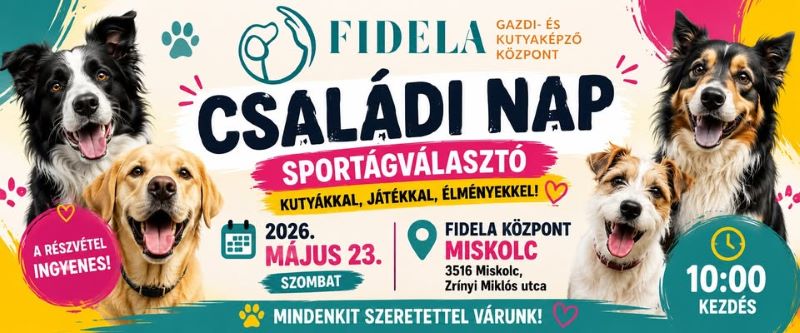 Miskolci gazdik figyelem! – Szuper, ingyenes kutyás program a hétvégére