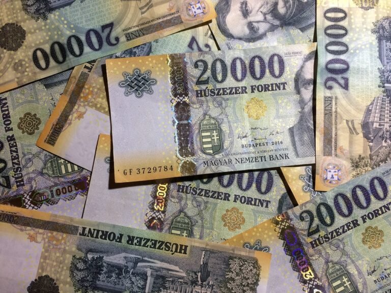 Orbán Viktor unokaöccse már 660 millió forintott tudott kivenni a másfél éve alapított bányacégéből