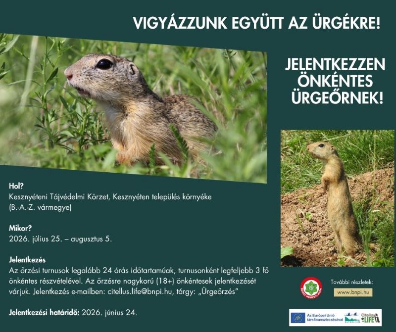Nem mindennapi küldetés – önkéntes ürgeőröket keres a Bükki Nemzeti Park Borsodban