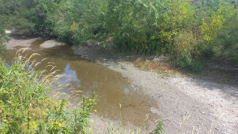 Abszolút kiszáradás – a Ronyva-patakért aggódnak a sátoraljaújhelyiek