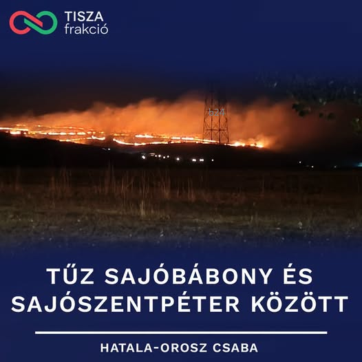 Óriási tűz Sajószentpéternél, égett a fél erdő – megfeszített munkával oltották el a tűzoltók (KÉPEK)